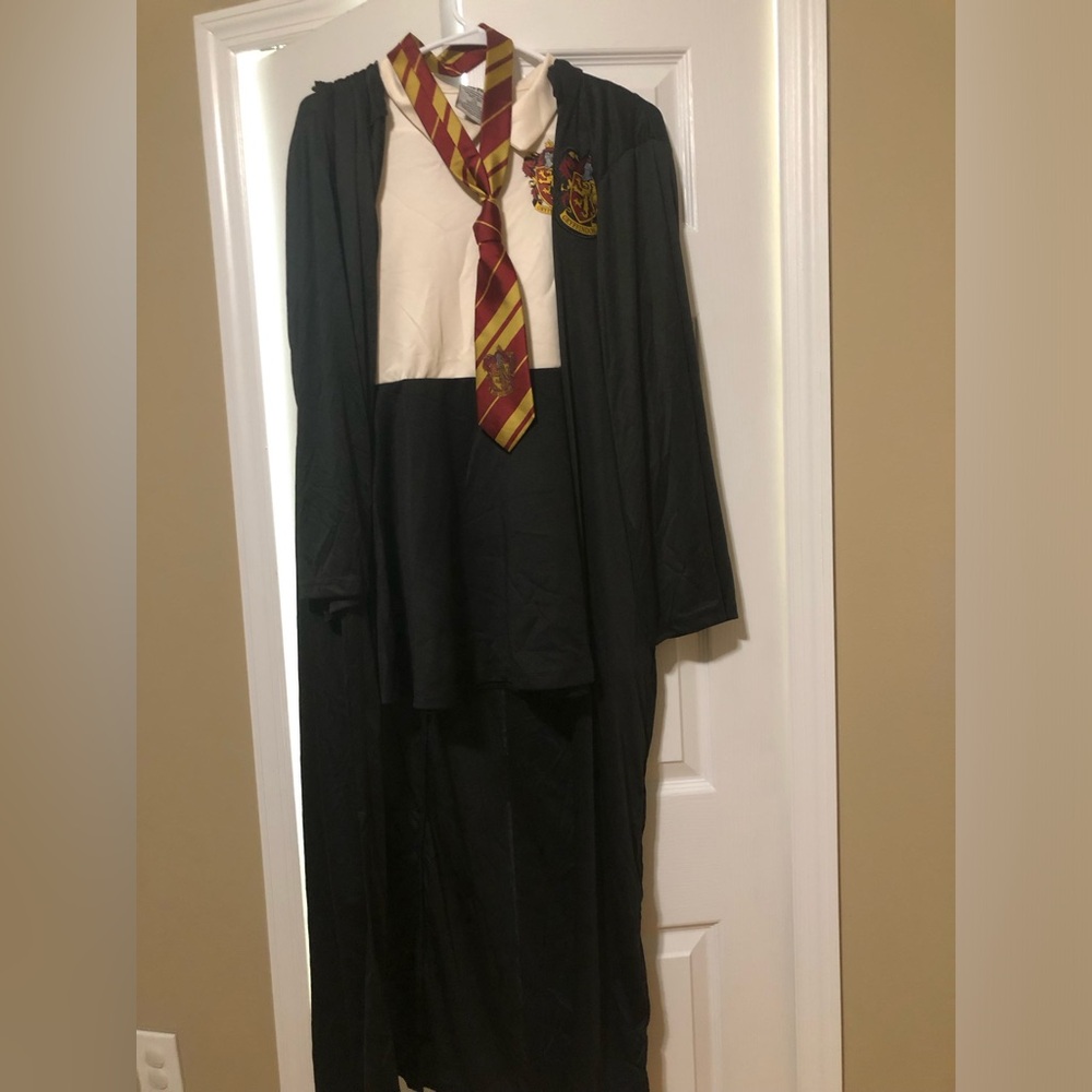 Adult Gryffindor Dress Costume